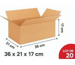 Carton Kraft 36*21*17cm, lot de 20