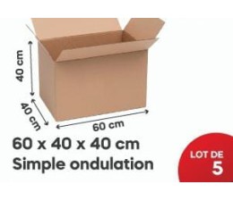 Carton Kraft 60*40*40Cm Simple Ondulation, Lot de 5