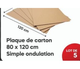 Plaque de Carton 80*120Cm