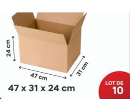 Carton Kraft 47*31*24Cm, Lot de 10