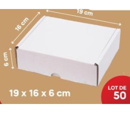 Carton Blanc 19*16*6Cm, Lot de 50