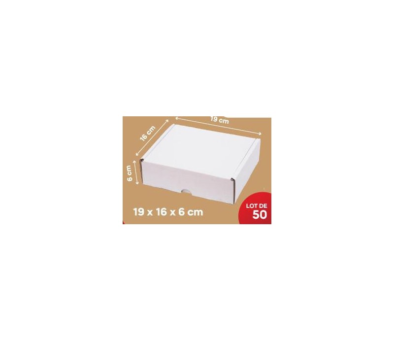 Carton Blanc 19*16*6Cm, Lot de 50