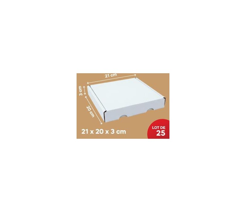 Carton Blanc 21*20*3Cm, Lot de 25