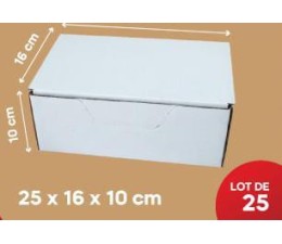 Carton Blanc 25*16*10Cm, Lot de 25