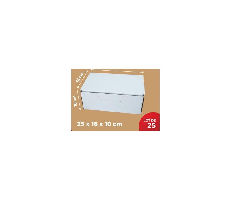 Carton Blanc 25*16*10Cm, Lot de 25
