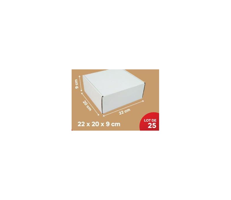 Carton Blanc 22*20*9Cm, Lot de 25