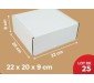 Carton Blanc 22*20*9Cm, Lot de 25