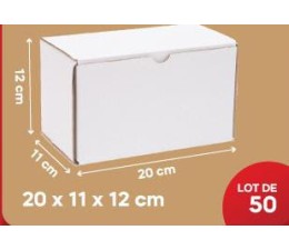 Emballage Services 50 Boites en Carton Blanc : 20 x 11 x 12 cm