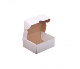 Carton Box  blanc 25*25*10