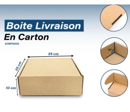 25 Carton Kraft 25_25_10 cm