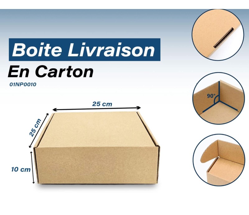 25 Carton Kraft 25_25_10 cm